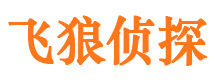 申扎飞狼私家侦探公司